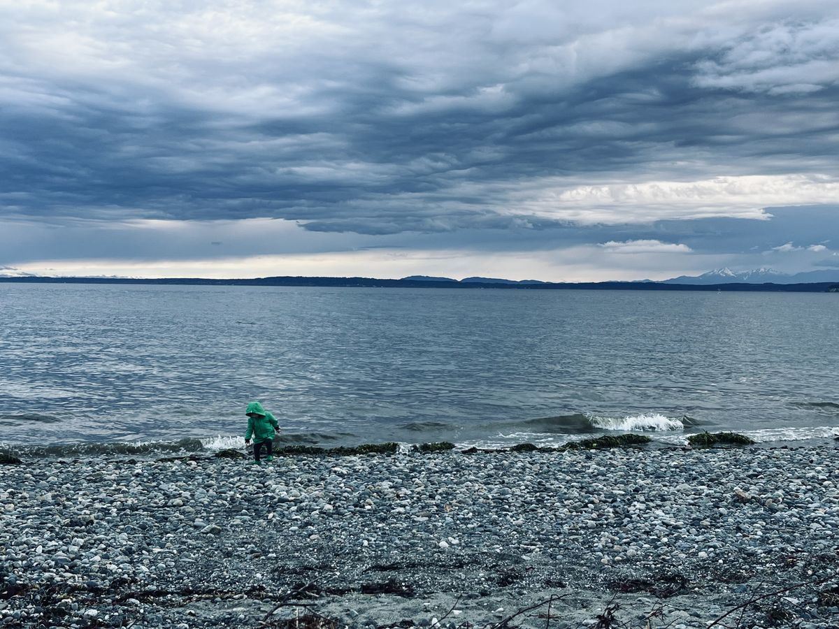 A landscape of a rocky beach, water, and some mountains in the distance.