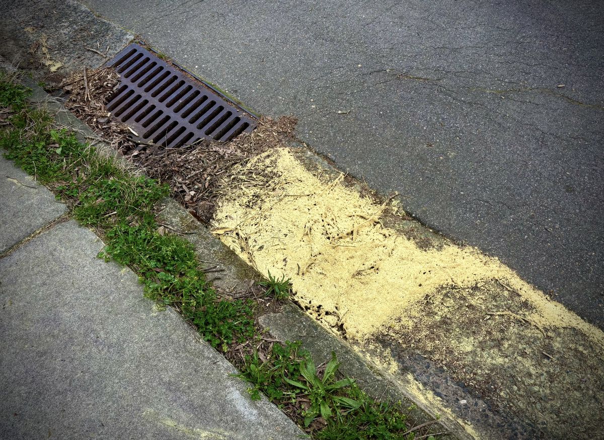 A gutter with what looks like yellow paint next to it. It's actually pollen.