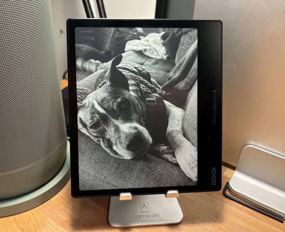 The book page on a stand displaying a picture of a dog