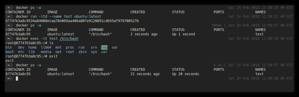 Docker exec bash example