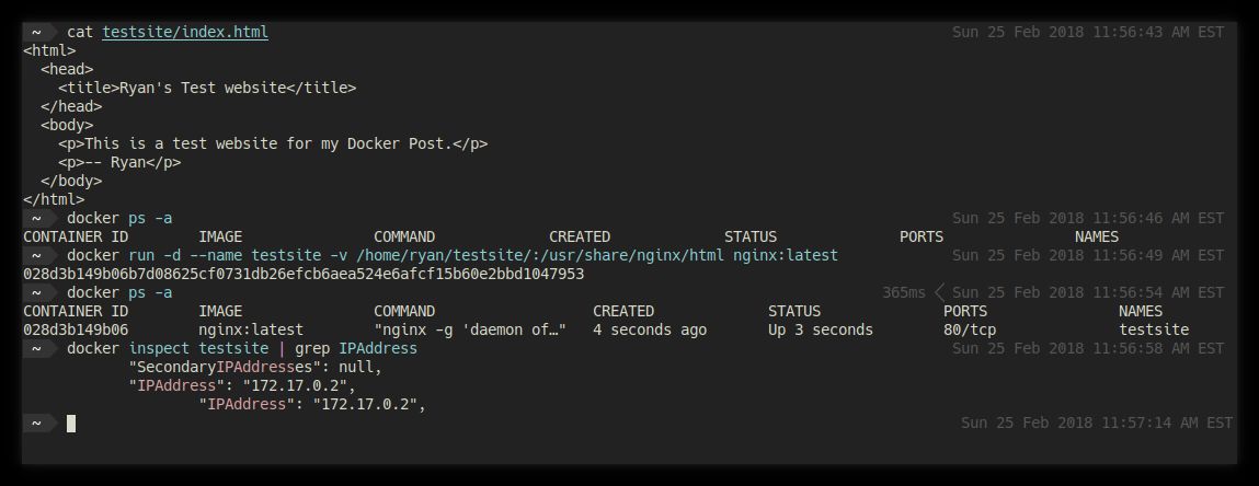 Creating an nginx container, forwarding port 80 to he host's 8081