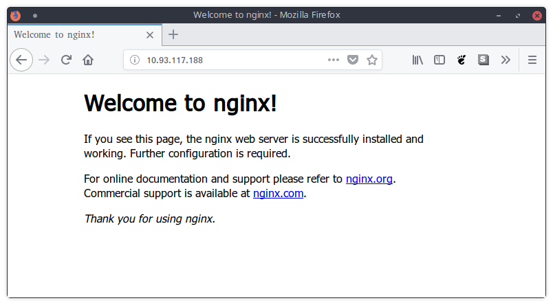Default nginx page