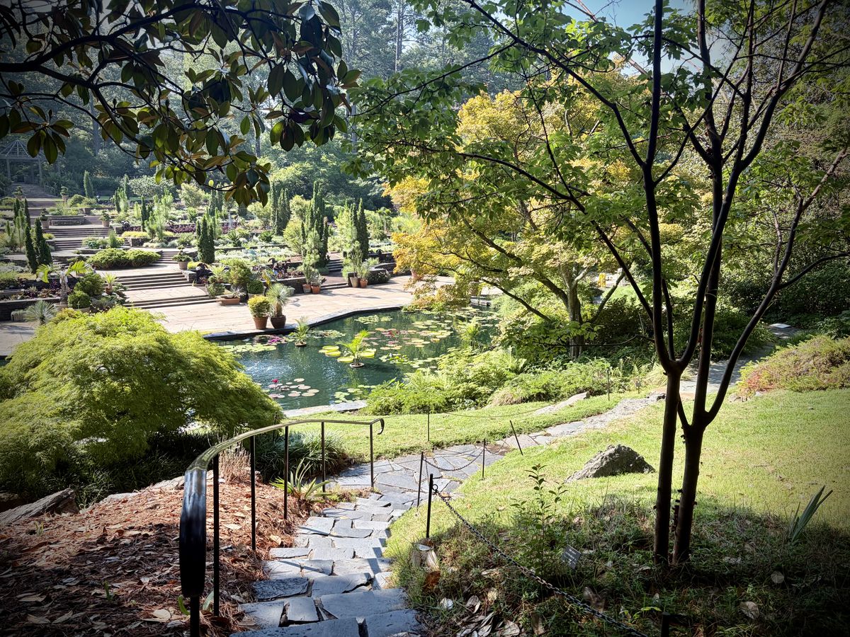 A beautiful garden walkway