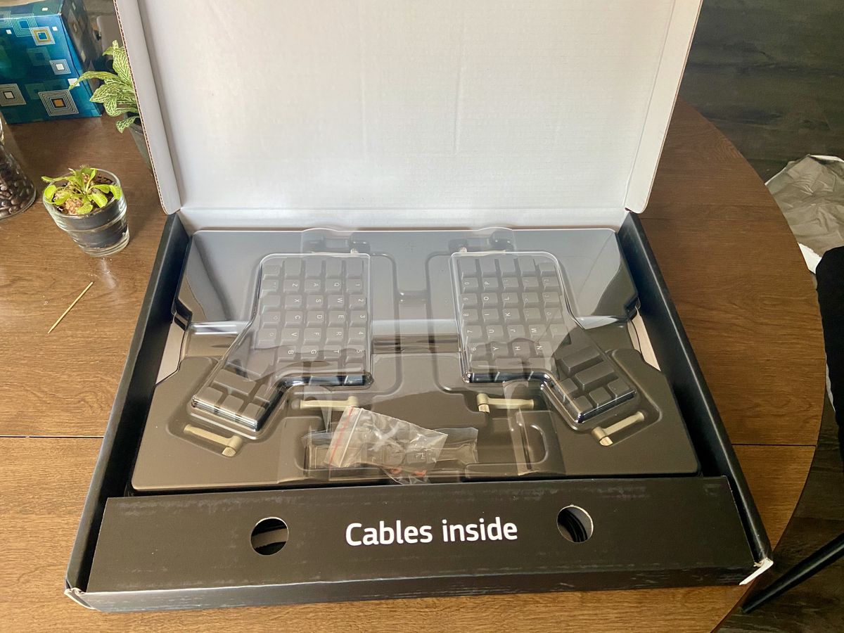 Opened the ergodox box